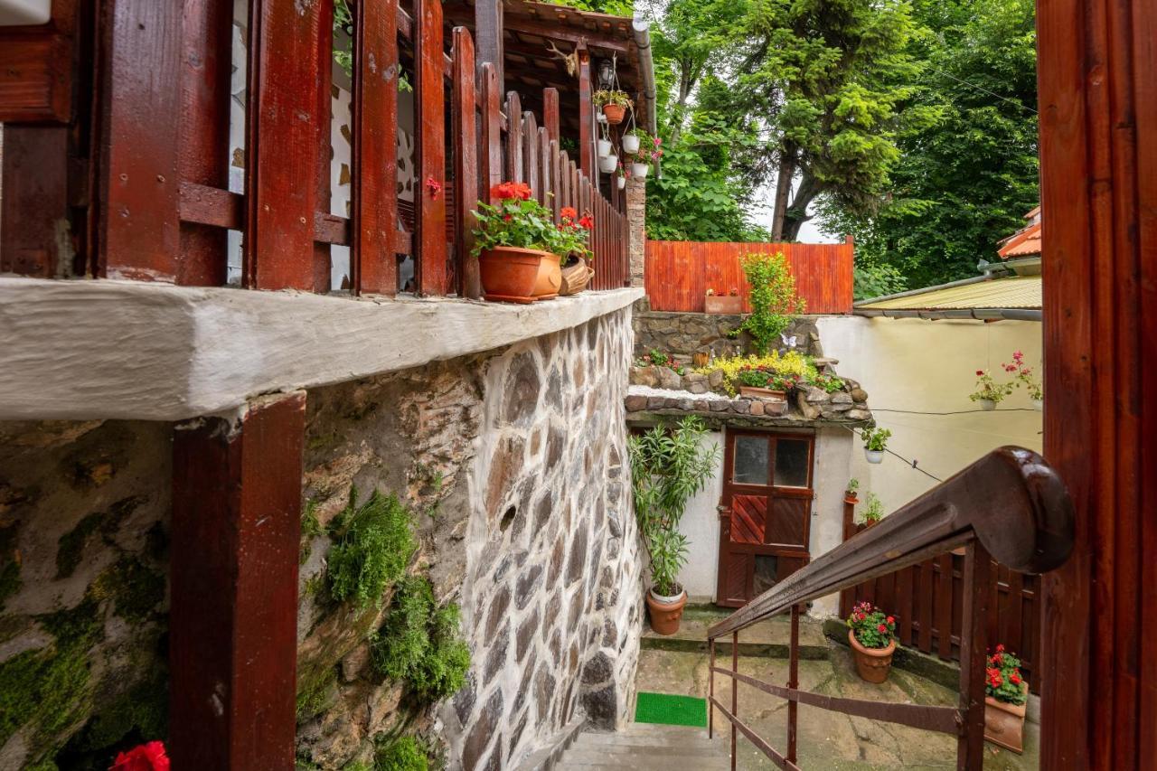 Gloria Apartments Sighişoara Dış mekan fotoğraf