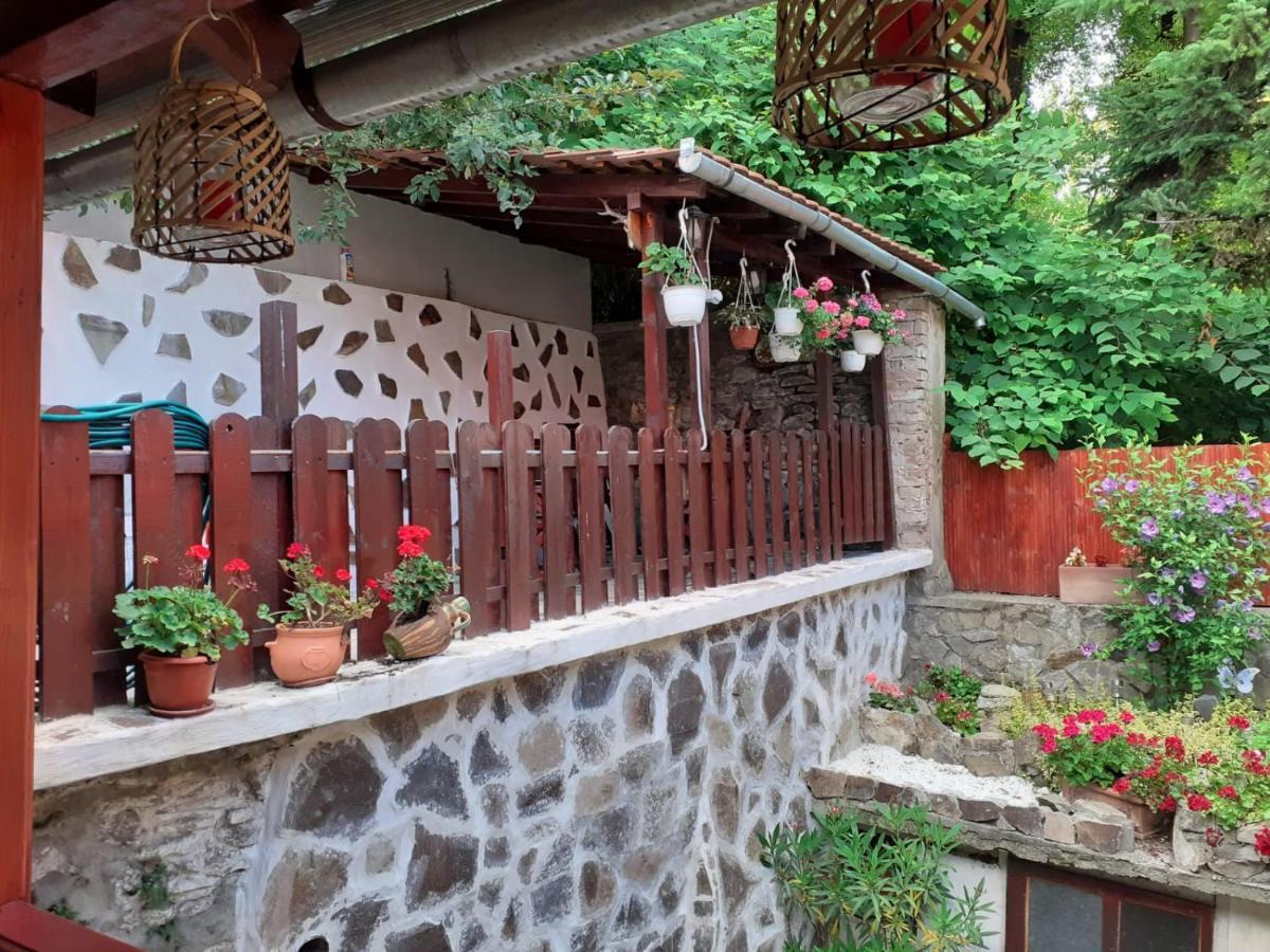 Gloria Apartments Sighişoara Dış mekan fotoğraf