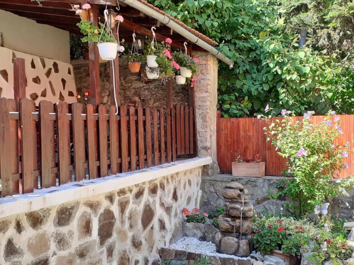 Gloria Apartments Sighişoara Dış mekan fotoğraf