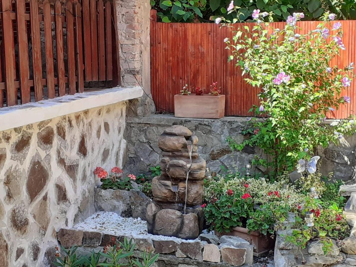 Gloria Apartments Sighişoara Dış mekan fotoğraf