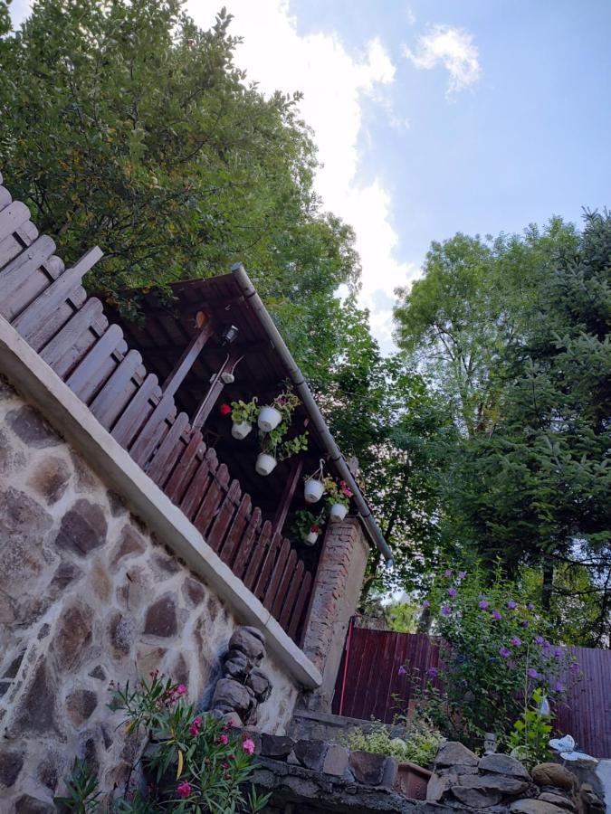Gloria Apartments Sighişoara Dış mekan fotoğraf